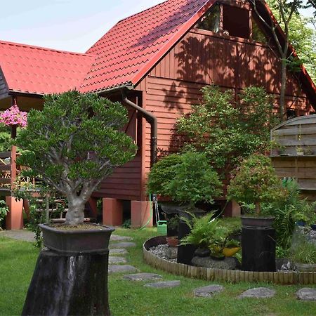 Ogrod Shinrin Yoku Odpoczynek W Lesie Villa Srokowo Eksteriør billede